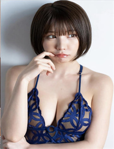 雍正小蝶年羹尧